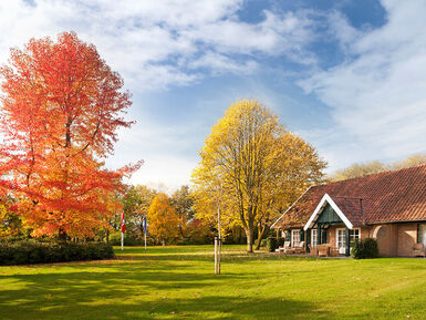 p tuin herfst